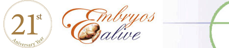 EA Header